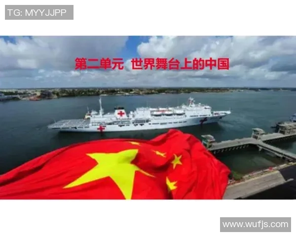 张宁在国际舞台上的崛起与成就探讨以及对未来发展的展望 张宁在国际舞台上的崛起与成就探讨以及对未来发展的展望