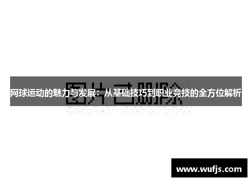 网球运动的魅力与发展：从基础技巧到职业竞技的全方位解析
