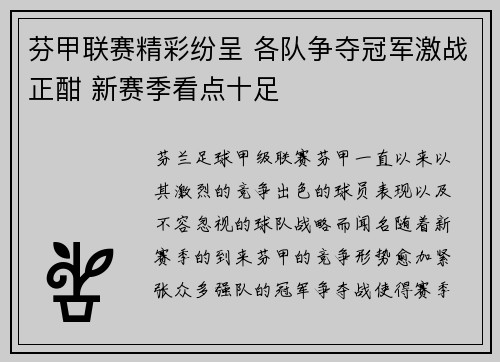 芬甲联赛精彩纷呈 各队争夺冠军激战正酣 新赛季看点十足