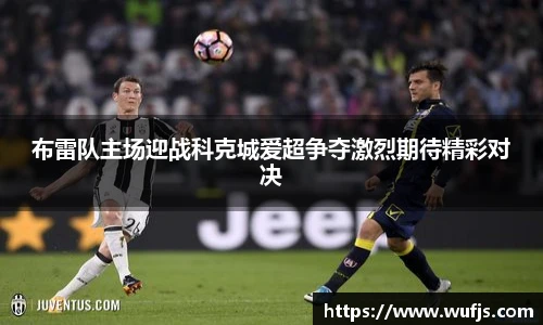 TVT体育手机最新版本